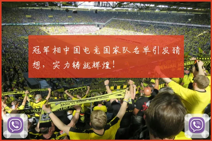冠军相中国电竞国家队名单引发猜想,实力铸就辉煌!