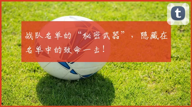 战队名单的“秘密武器”,隐藏在名单中的致命一击!
