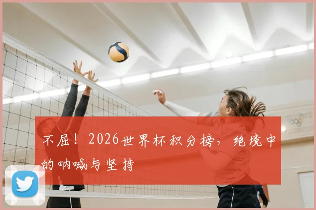 不屈!2026世界杯积分榜,绝境中的呐喊与坚持