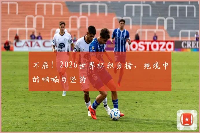 不屈!2026世界杯积分榜,绝境中的呐喊与坚持